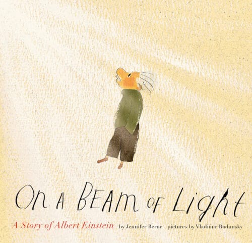 A Beam of Light Albert Einstein Biography Book